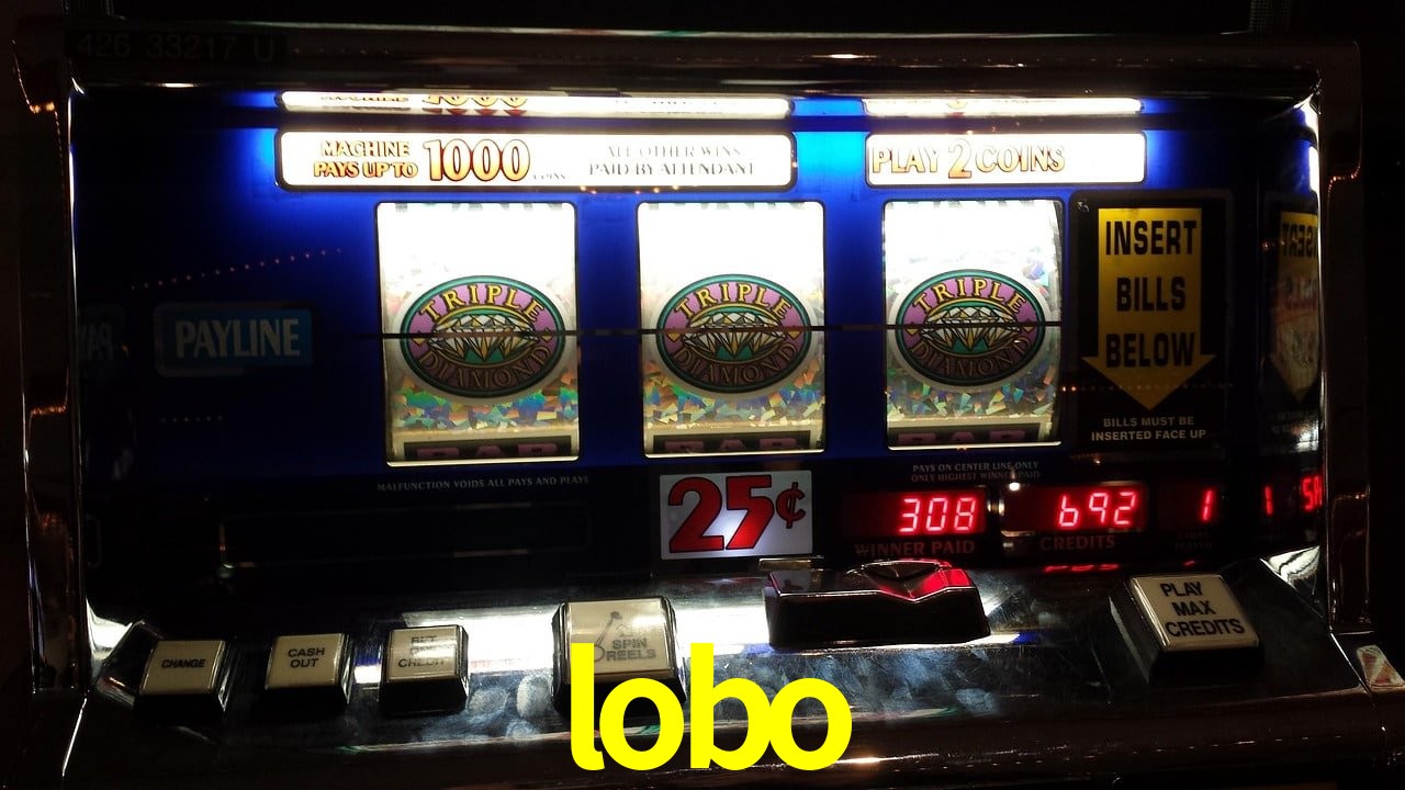 Tennis Betting lobo
