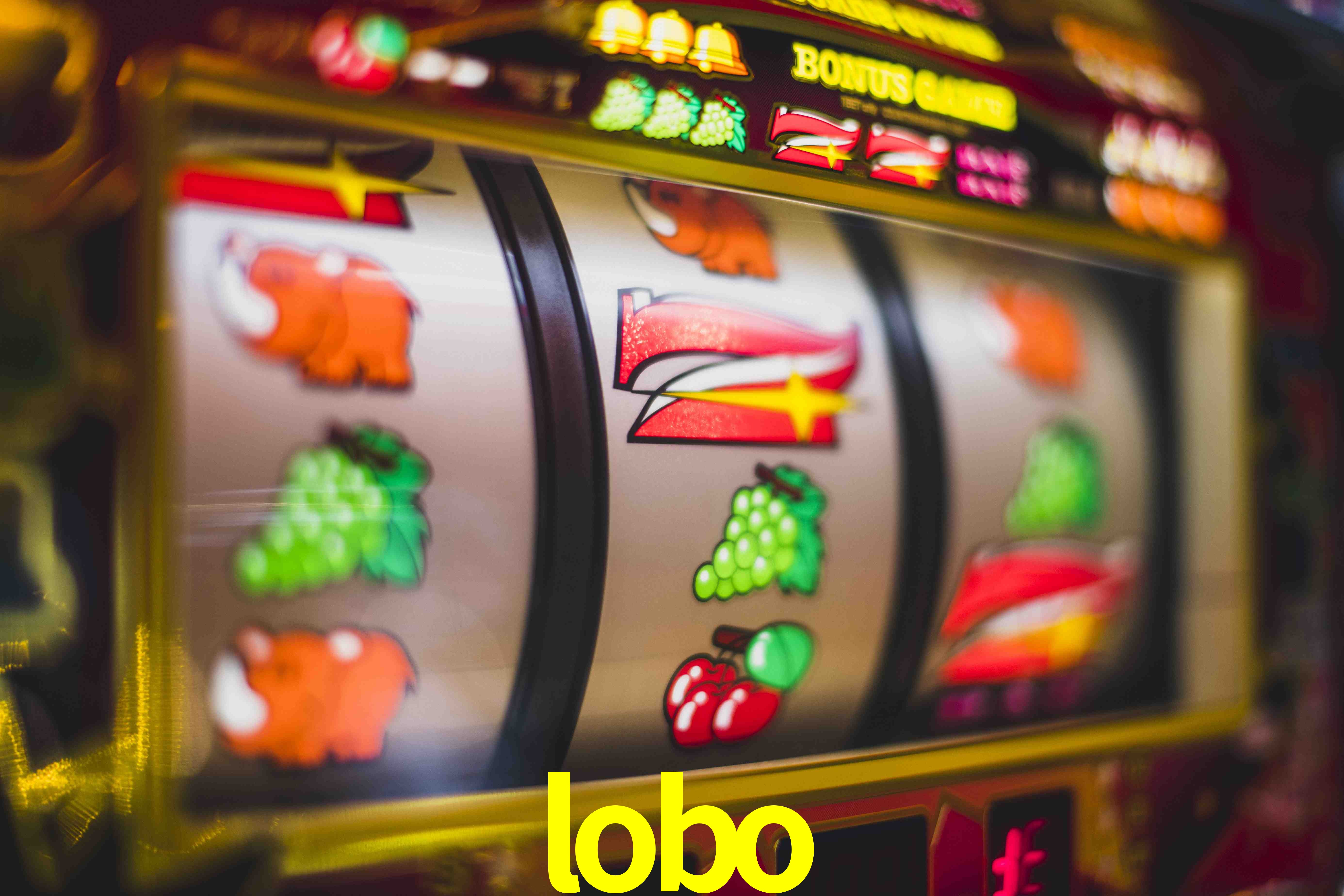 Football Betting lobo